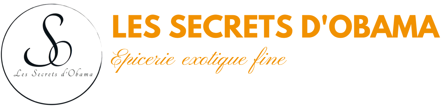 LES SECRETS D'OBAMA